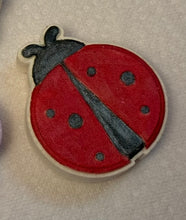 Load image into Gallery viewer, Bath Bombs- Bee&#39;s, Butterflies, and Flowers
